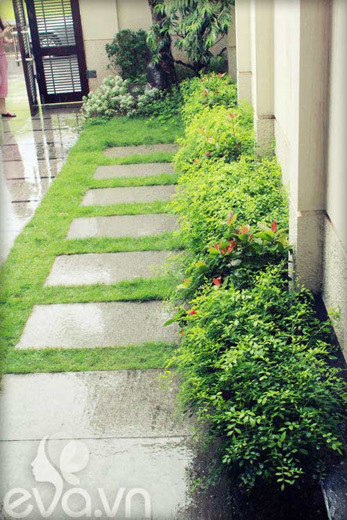 Khoe nhà: Mất điện vẫn sáng, vẫn thoáng - 2