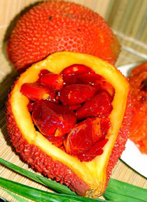 Quả gấc ngăn ngừa ung thư vú - 2