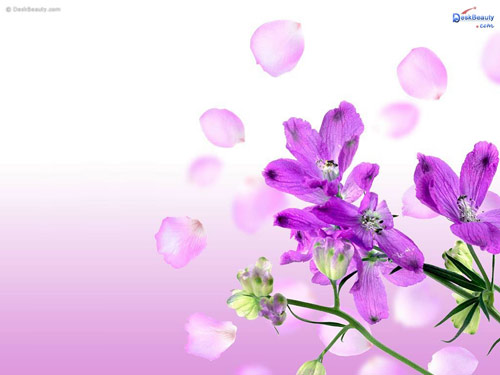 Ma Kết: Có thay đổi khá tích cực - 1