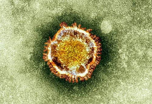 Virus cúm H7N9 gây tử vong cho người ở TQ có gì lạ? - 2