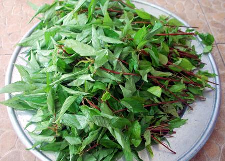 rau day loi sua lam chi em a! - 1