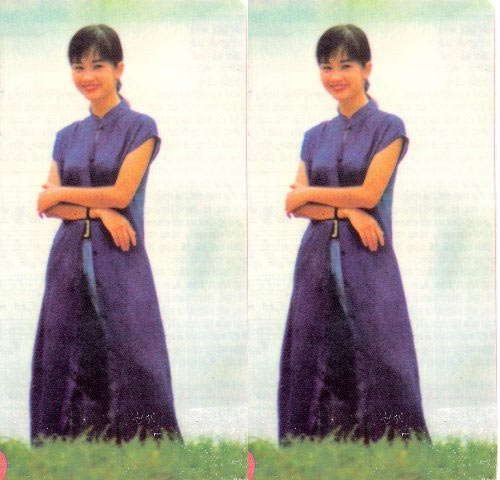 ngan khanh, tuan hung tay trong tay di an - 3