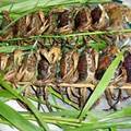 Sức khỏe - Uống nước cua sống sẽ tăng lực?