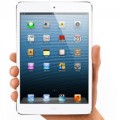 Eva Sành điệu - iPad mini 2 không có màn hình Retina