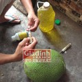 Mua sắm - Giá cả - Truy tìm loại hóa chất lạ ép mít chín siêu tốc