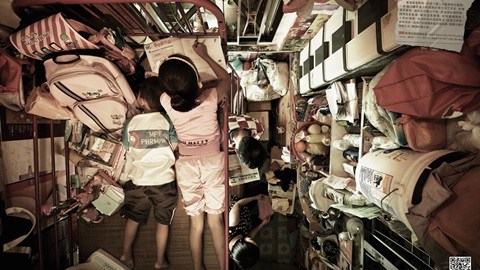 can canh nha to chim o hong kong va o viet nam - 1