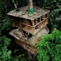 Nhà đẹp - Ở nhà trên cây, muôn phần thích thú