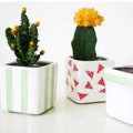 Nhà đẹp - Phòng nàng "xì tin" với chậu hoa cực điệu