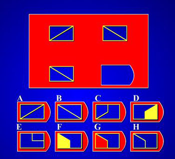 Test IQ cho bé 5 tuổi (+) - 4