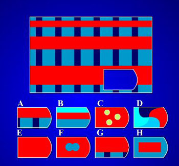 Test IQ cho bé 5 tuổi (+) - 9
