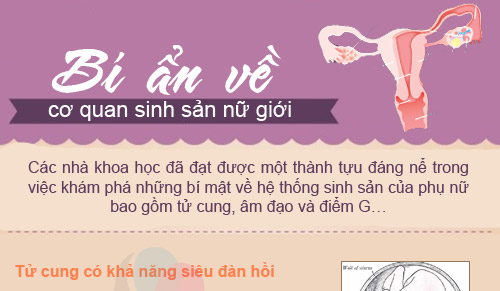 bi an ve co quan sinh san nu gioi - 1
