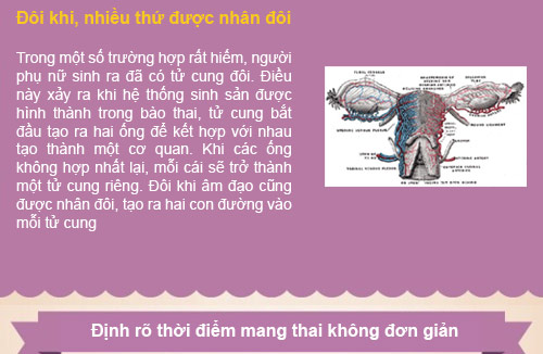 bi an ve co quan sinh san nu gioi - 5