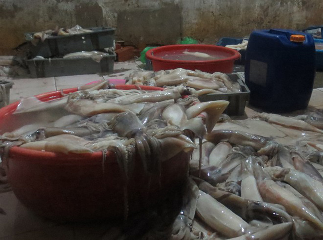 Bên trong xưởng ngâm tẩm mực thối ở Hà Nội