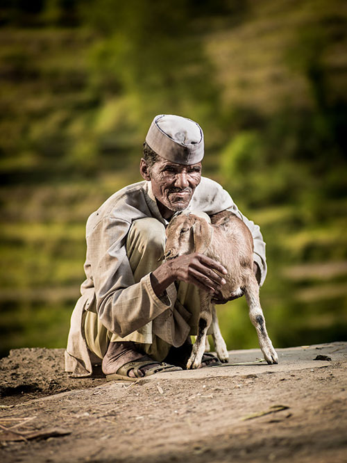 chum anh: sac mau cuoc song o uttarakhand, an do - 15