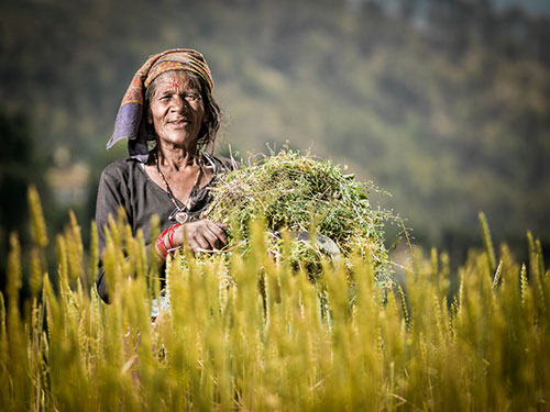 chum anh: sac mau cuoc song o uttarakhand, an do - 17