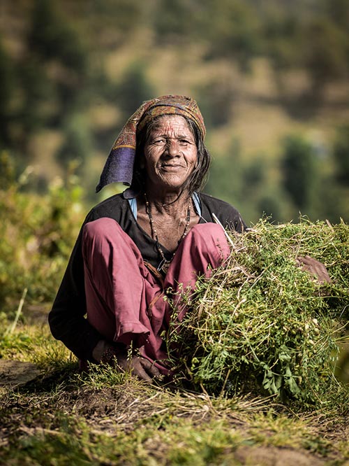chum anh: sac mau cuoc song o uttarakhand, an do - 18