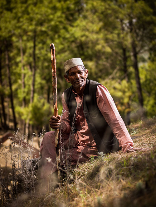 chum anh: sac mau cuoc song o uttarakhand, an do - 3