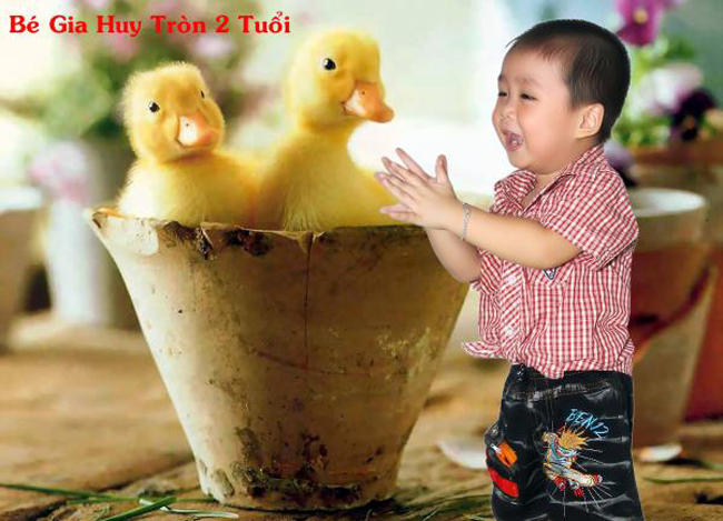 Bé Gia Huy thích làm mẫu ảnh