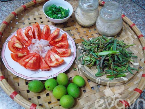 chua chua canh moc nau thanh tra - 2