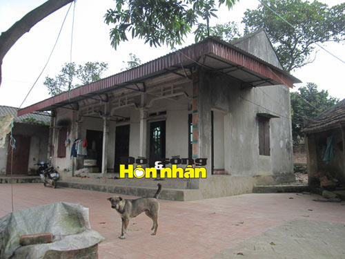 doi doi nho boi duoc 11 cay vang tu bai rac - 2
