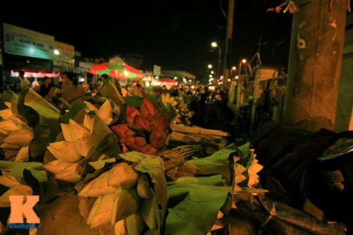 cho sen som o ha thanh - 5