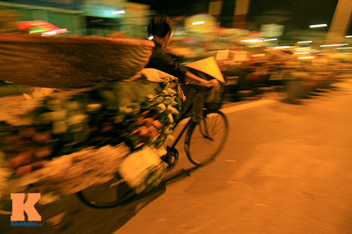 cho sen som o ha thanh - 12