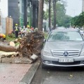 Tin tức - Mưa lốc dữ dội, cây bật gốc đè ô tô giữa Sài Gòn