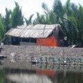 Tin tức - Cuộc đời buồn của người đàn ông bị cắt mất 'của quý'