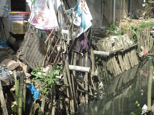 can canh muong thoi gay o nhiem giua thu do - 2