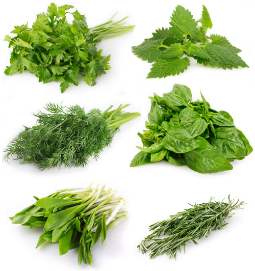 9-thuc-pham-khong-nen-de-trong-tu-lanh-herbs-fresh-1460603070-width500height532
