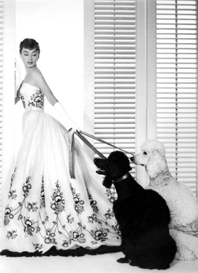 Audrey Hepburn:  Biểu tượng thời trang của thời đại - 8
