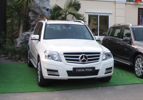 Ca sĩ Phương Linh tậu 'xế' hạng sang - 3