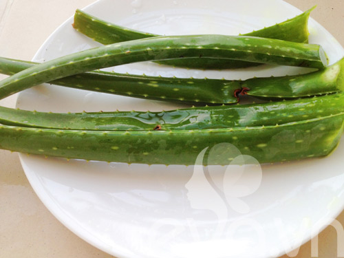 Thanh nhiệt với chè nha đam đậu xanh - 1
