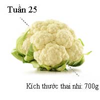 Sổ tay mang thai: Bé bằng cây súp lơ - 1