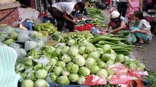 Rau đắt gấp 3 vì thương lái thổi giá - 2