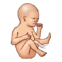 Sổ tay mang thai: Bé bằng cây bắp cải - 2