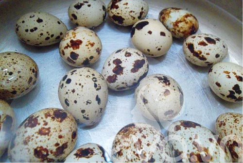 Trứng chim cút chiên xù kiểu mới - 2
