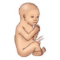 Sổ tay mang thai: Bé bằng quả dưa bở - 2