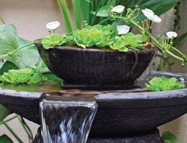Nước vào nhà, tài lộc thẳng tiến - 1