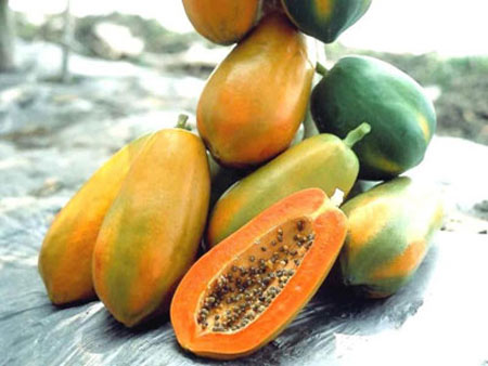8 thực phẩm vàng trị trĩ - 3