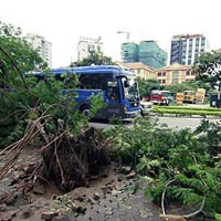 Hà Nội xác xơ sau mưa bão số 5