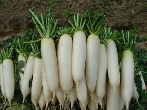 10 loại rau củ giúp da trắng hồng - 5