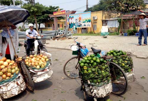 Bóc trần bí mật cam siêu rẻ giá 10.000 đồng/kg - 3