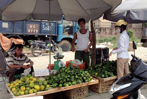 Bóc trần bí mật cam siêu rẻ giá 10.000 đồng/kg - 5