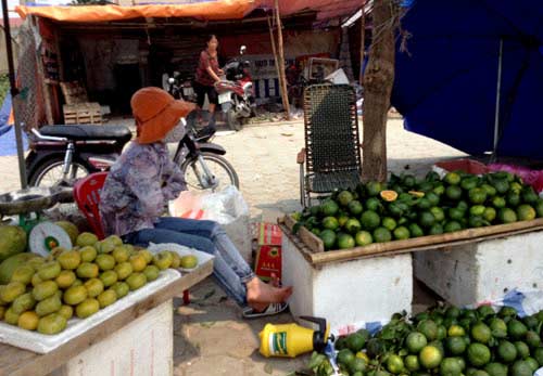 Bóc trần bí mật cam siêu rẻ giá 10.000 đồng/kg - 6