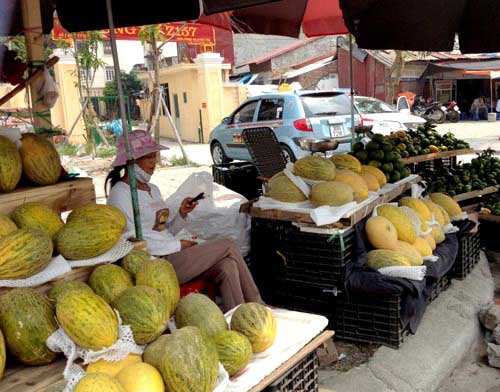 Bóc trần bí mật cam siêu rẻ giá 10.000 đồng/kg - 7