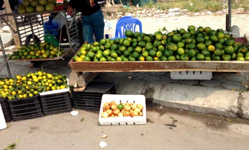 Bóc trần bí mật cam siêu rẻ giá 10.000 đồng/kg - 8