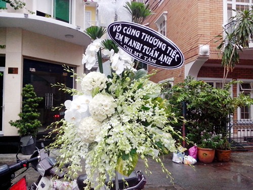 ha ho, phuong thanh den hat tam biet wanbi - 9