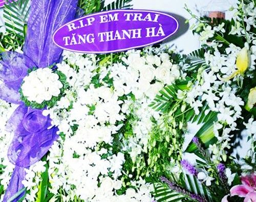 ha ho, phuong thanh den hat tam biet wanbi - 8