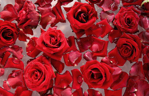 Những mẹo nhỏ giúp nhũ hoa hết thâm - 7